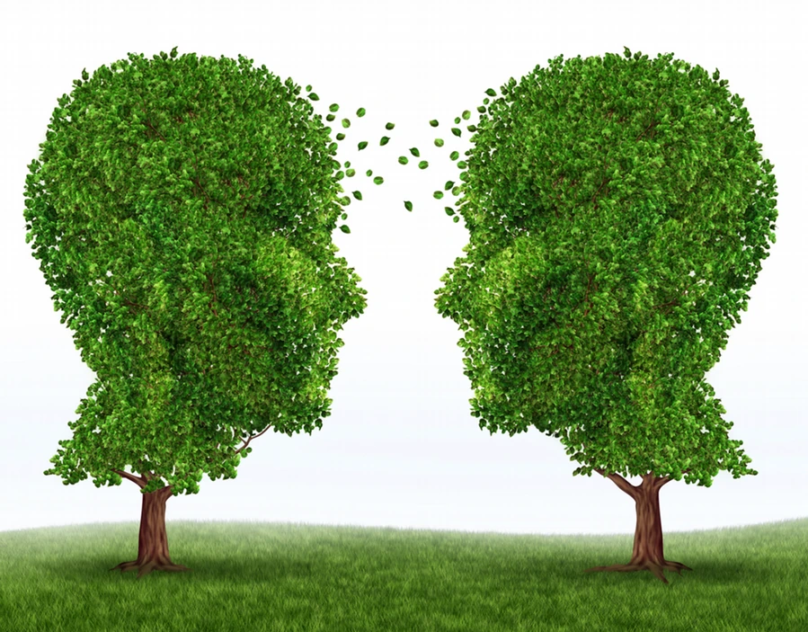 Two trees shaped like human faces growing toward each other with leaves passing between them, symbolizing peer connection and support